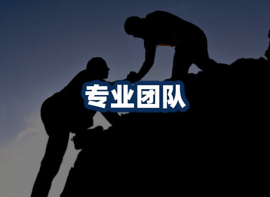 专业团队